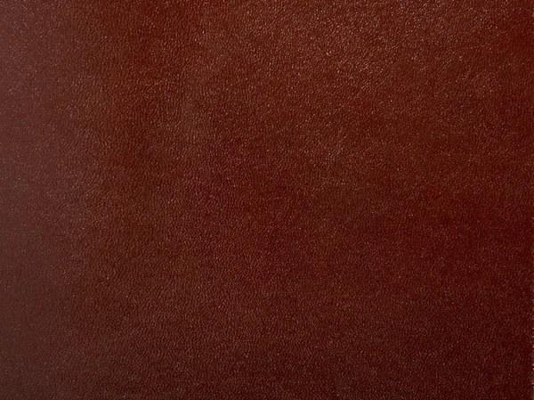 Текстурная кожа — стоковое фото