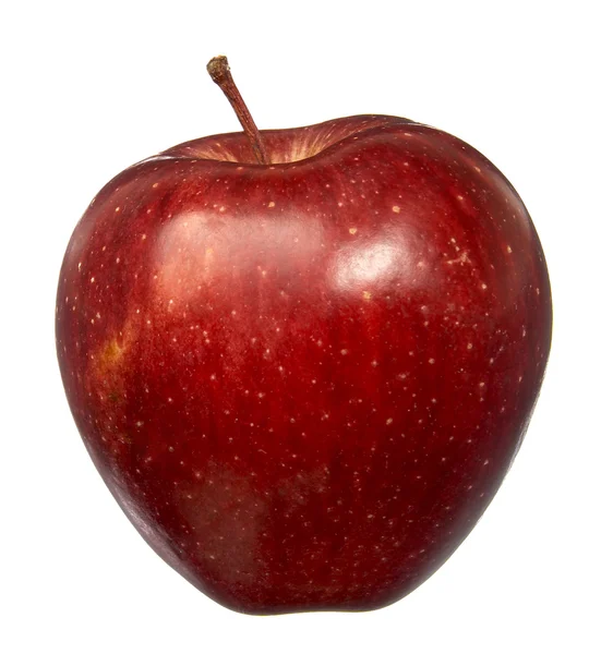 Roter Apfel neu 1 — Stockfoto
