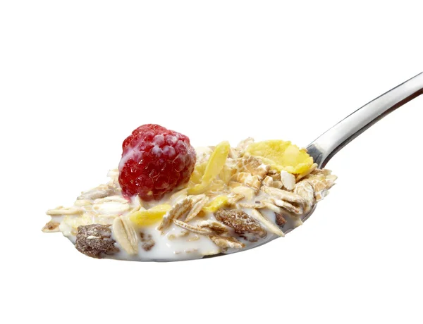 stock image Muesli dish