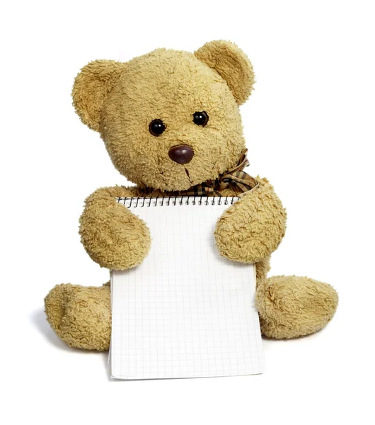 Teddy bearholding prázdné notebook zpráva — Stock fotografie