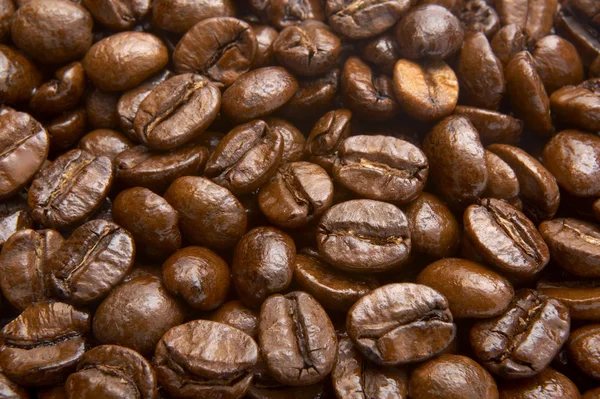 Arôme de grains de café — Photo