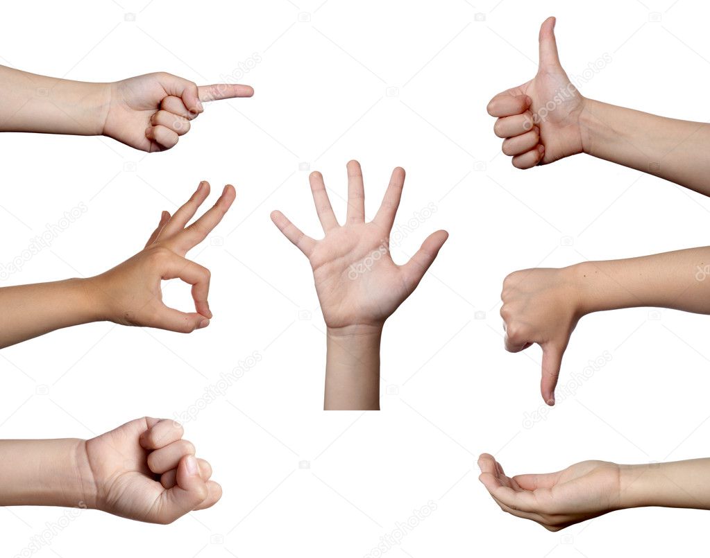 Download - Collection of hands gesturing, on white background. each one ...
