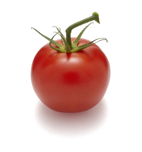 Sağlıklı beslenme diyet domates sebze yemekleri — Stok fotoğraf
