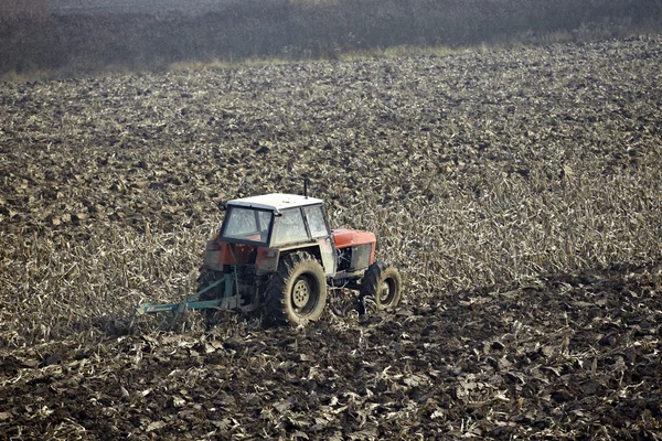 Landbrug traktor dyrket lanf felt grøntsager - Stock-foto