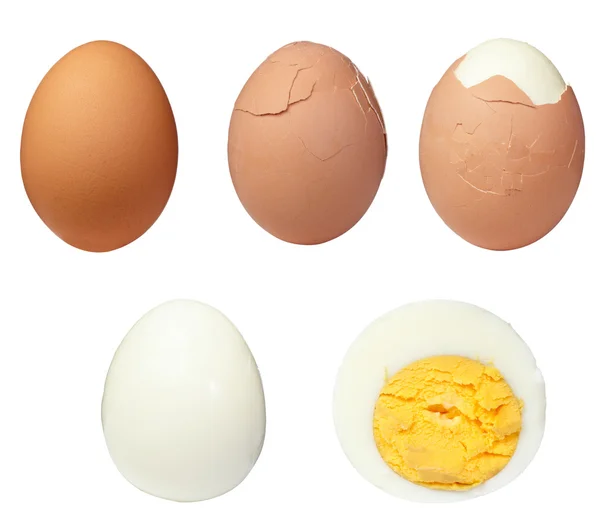 계란의 클로즈업 — 스톡 사진