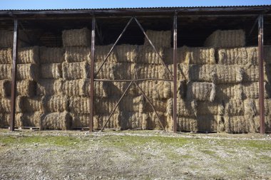 Agriculture hay bale farming clipart