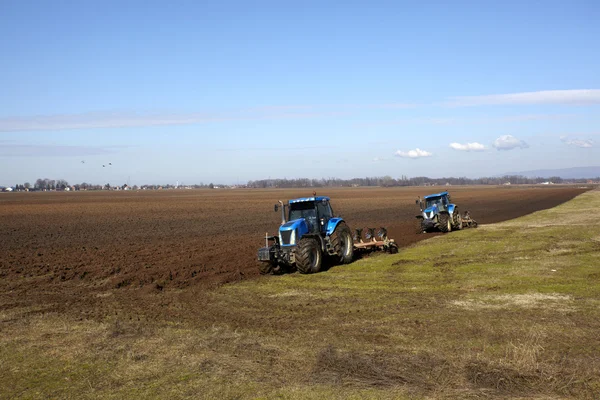 Tarım traktörü lanf alan bitki ekili — Stok fotoğraf