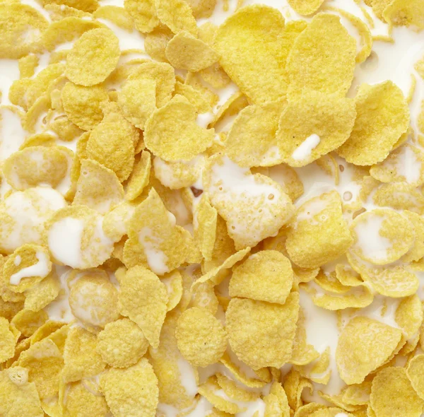 stock image Corn flakes cereals muesli food milk