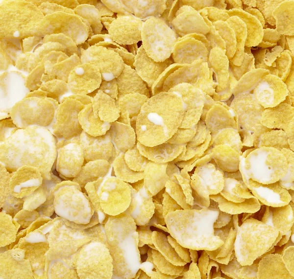 Corn flakes cereals muesli food milk — Stock Photo, Image