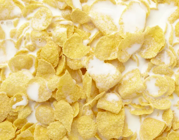 Corn flakes cereals muesli food milk — Stock Photo, Image