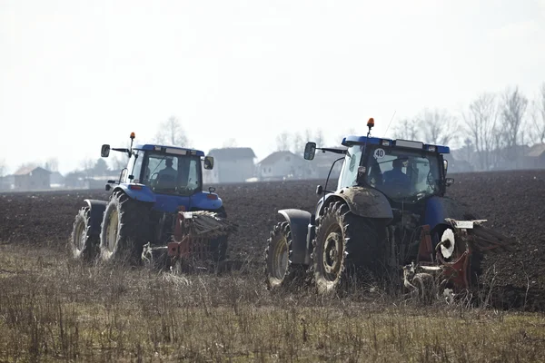 Landbrug traktor dyrket lanf felt grøntsager - Stock-foto