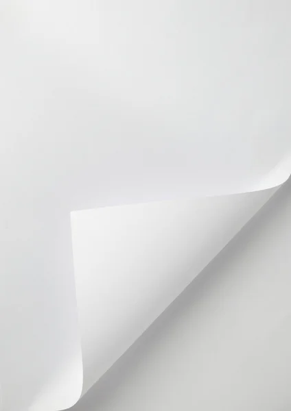 Notebook office blankt papper med curl — Stockfoto