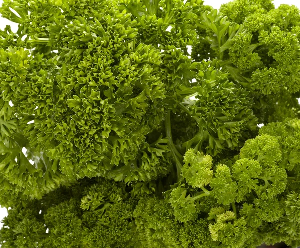 stock image Salad parsley food vegetable vegetarian cooking