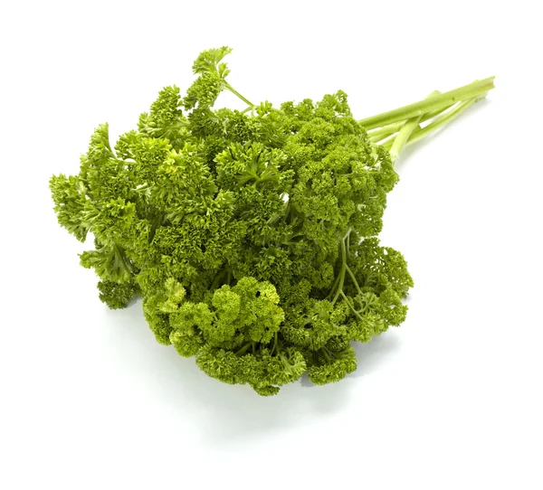 Salade persil nourriture légume végétarien cuisine — Photo
