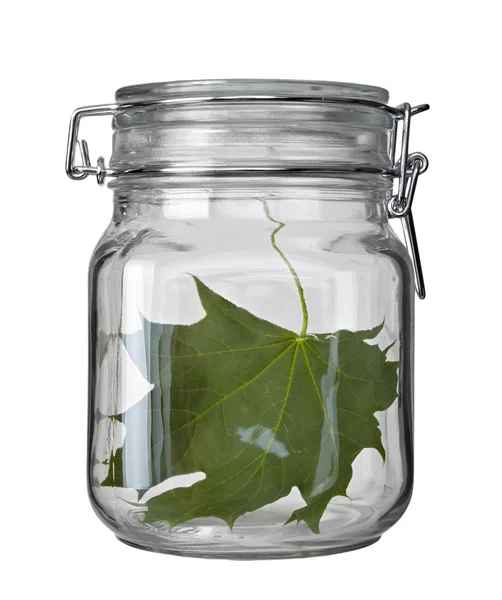 Cam kavanoz mutfak çanak yaprak yeşil koruma ekoloji — Stok fotoğraf