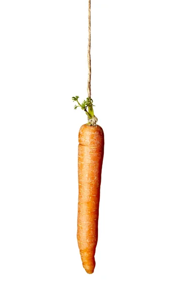 Corda de cenoura comida vegetal pendurado — Fotografia de Stock