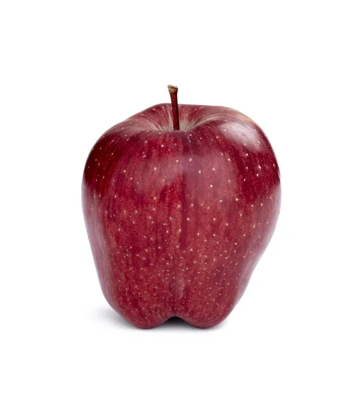 Apple fruit food vegeterian nutrition nature plant — Stock Photo, Image