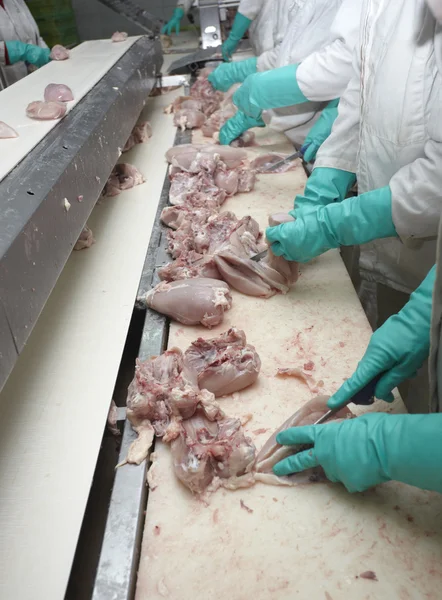 Geflügel verarbeitende Fleischindustrie — Stockfoto
