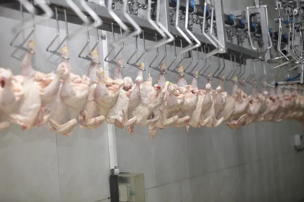 家禽の加工肉食品産業 — ストック写真