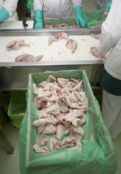 家禽の加工肉食品産業 — ストック写真