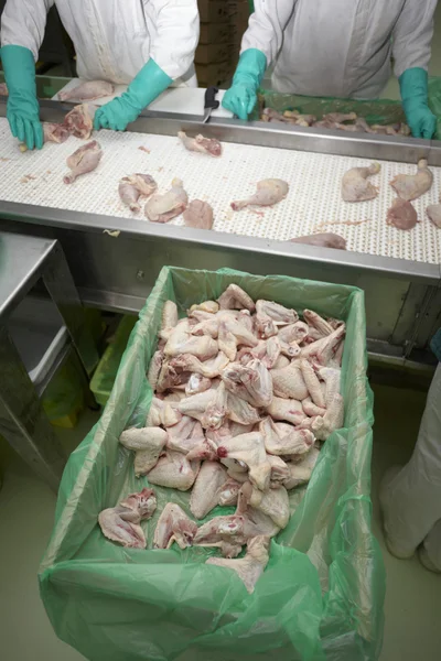 Jedzenie drobiu przetwórstwa mięsa — Zdjęcie stockowe