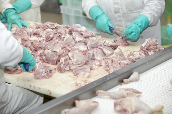 Pluimvee verwerkingsindustrie vlees eten — Stockfoto