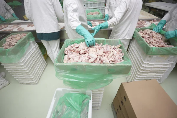 Baromfi-feldolgozó, hús, élelmiszeripar — Stock Fotó