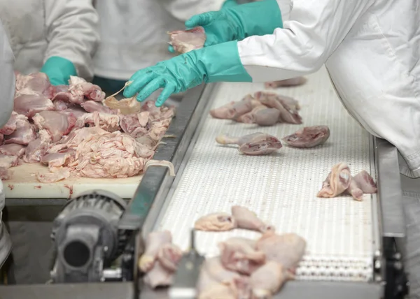 Industria alimentare della lavorazione del pollame — Foto Stock