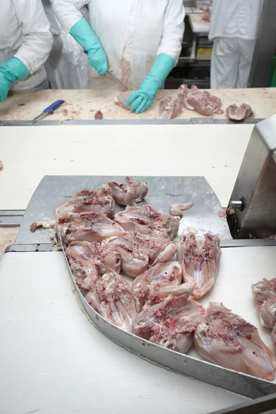 Industria alimentare della lavorazione del pollame — Foto Stock