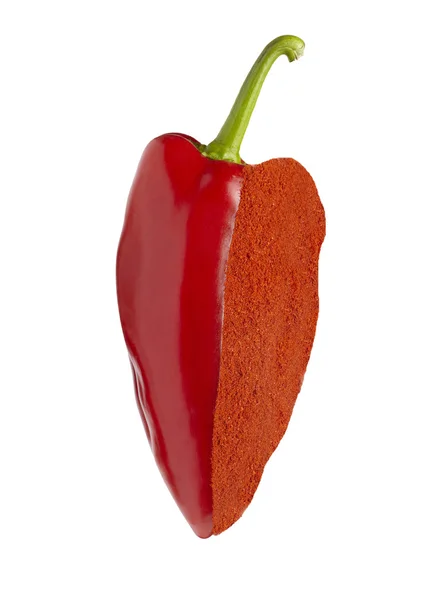 Pó de especiarias de pimenta vermelha Bell — Fotografia de Stock