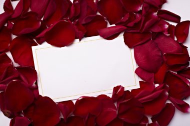 Greeting card note rose petals celebration christmas love clipart