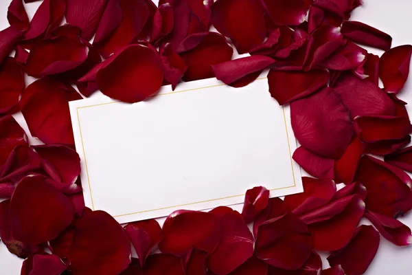 Note de carte de voeux pétales de rose célébration amour de Noël — Photo