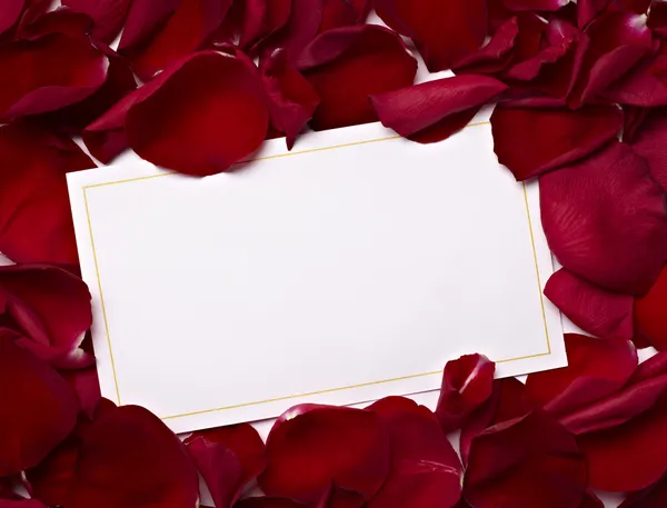 グリーティング カード注バラの花びらのお祝いクリスマス愛 — ストック写真