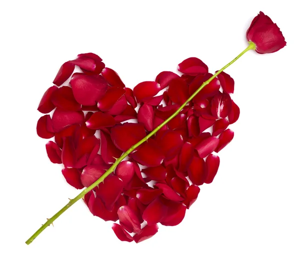 Forma do coração pétalas de rosa flor amor dia dos namorados — Fotografia de Stock