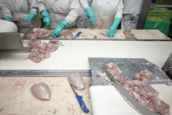 Poultry processing meat food industry — Stock Photo, Image