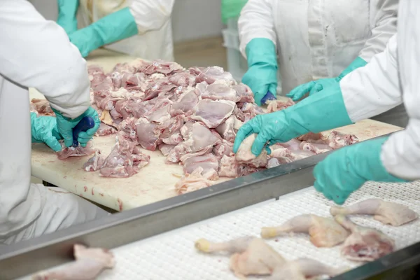 Fjäderfä bearbetning kött livsmedelsindustrin — Stockfoto