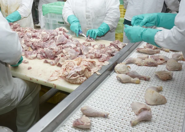 Βιομηχανία τροφίμων κρέας πουλερικών — Φωτογραφία Αρχείου