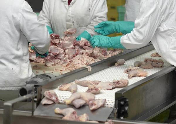 Fjäderfä bearbetning kött livsmedelsindustrin — Stockfoto