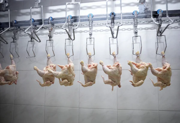Pengolahan unggas industri makanan daging — Stok Foto