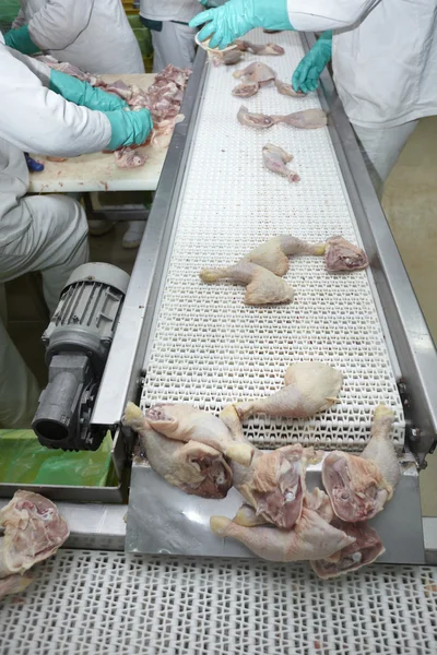Procesamiento de aves de corral industria alimentaria —  Fotos de Stock