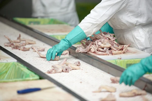 Pluimvee verwerkingsindustrie vlees eten — Stockfoto