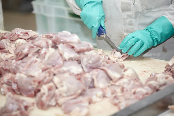 Poultry processing meat food industry — Stock Photo, Image