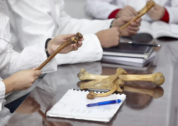 Educación estudiante universitaria hueso anatomía biología — Foto de Stock