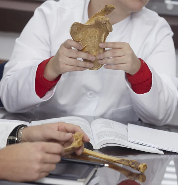 Oktatási Egyetem hallgatói csont anatómiai biológia — Stock Fotó