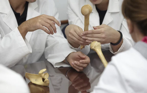 Educação estudante universitário anatomia óssea biologia — Fotografia de Stock