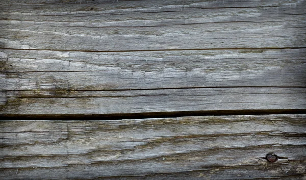 Holz Hintergrund Natur — Stockfoto