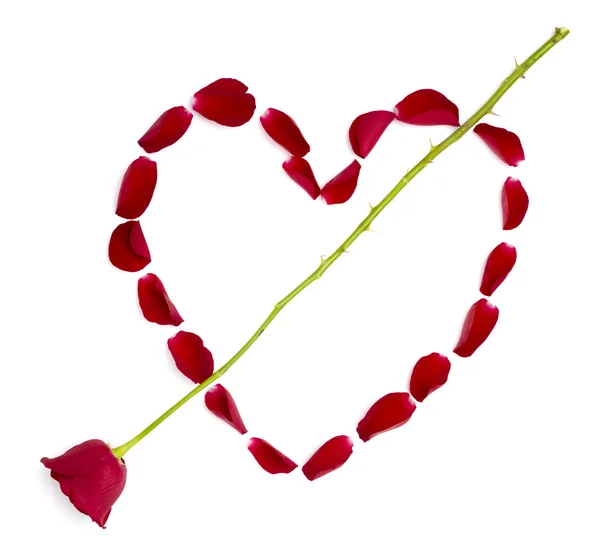 Форма серця пелюстки троянди квітка любові день Святого Валентина — стокове фото