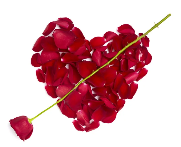 Heart shape rose petals flower love valentine day — Stock Photo, Image