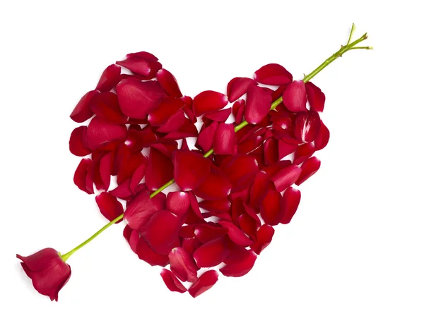 Форма серця пелюстки троянди квітка любові день Святого Валентина — стокове фото