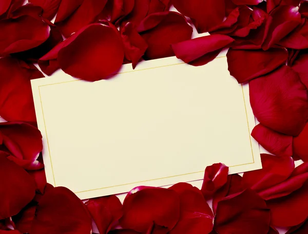 グリーティング カード注バラの花びらのお祝いクリスマス愛 — ストック写真